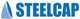 steelcap_logo_final_строчка_www_mini.jpg